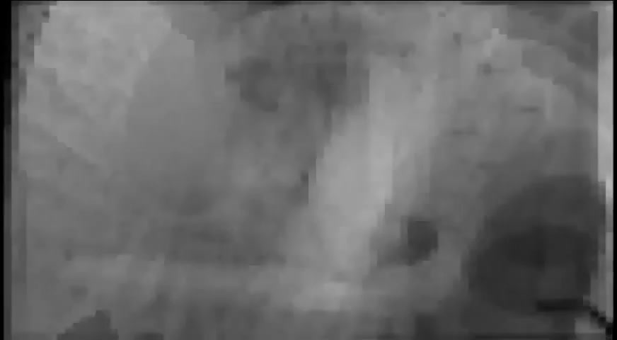 Japanese Amateur Movie
