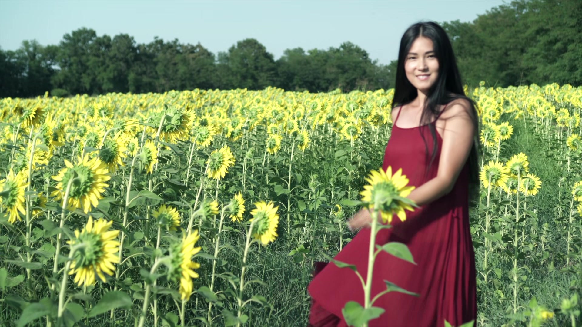 Sunflower - Kimiko - Met-Art
