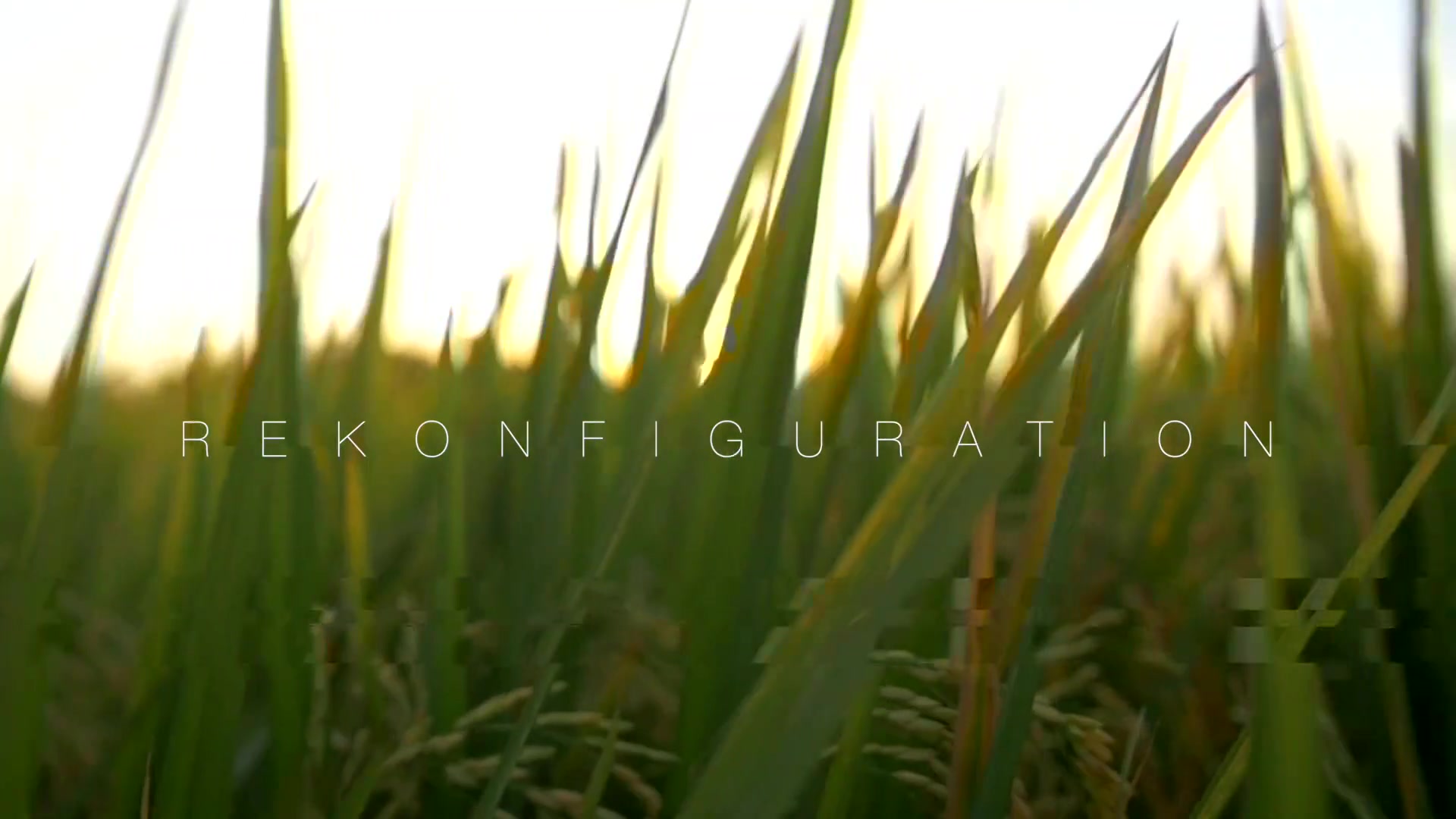 Rekonfiguration By Cipriani Un Viaje Mental - Cristiancipriani