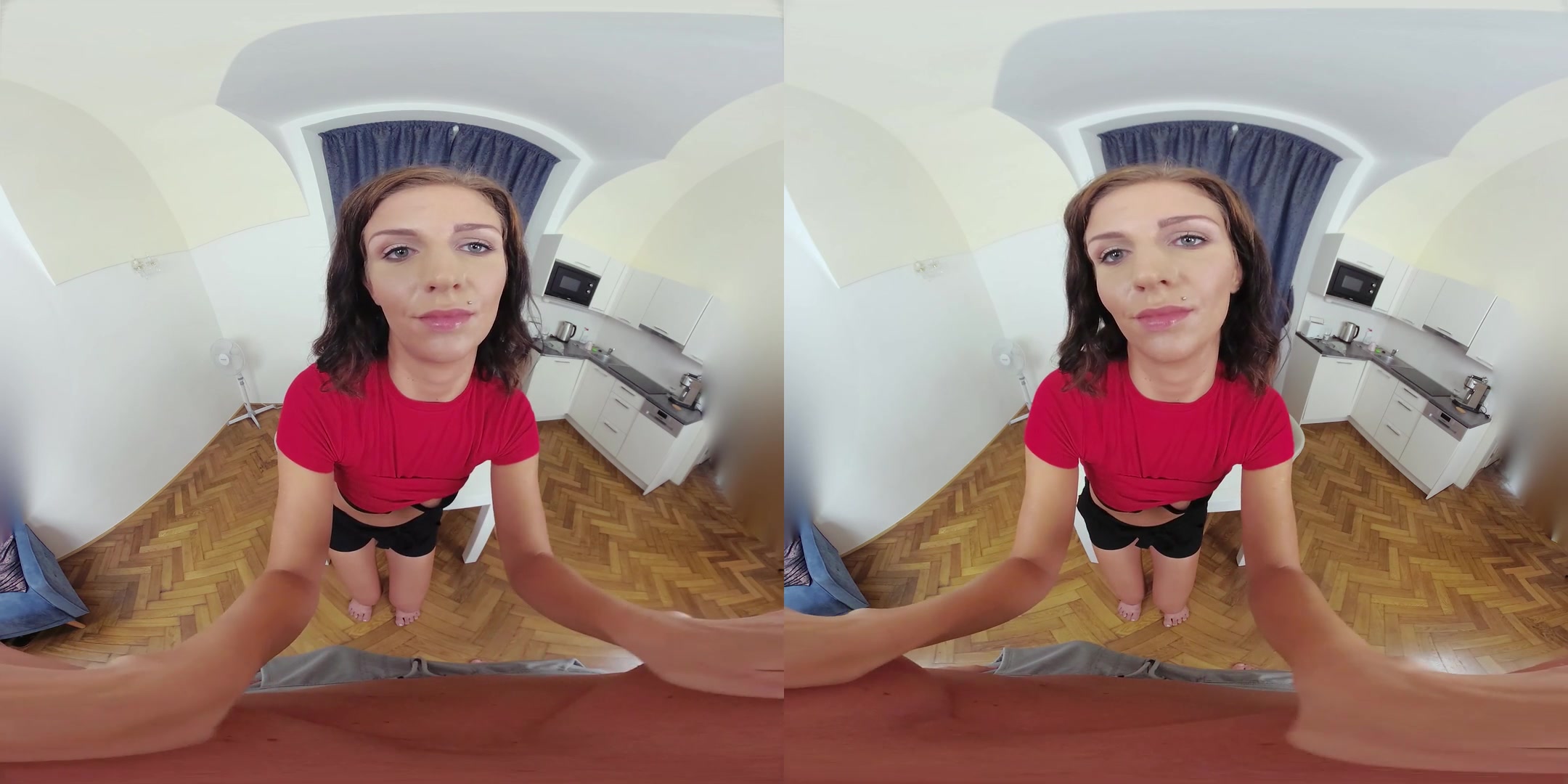 CzechVR 306 Silent Sex