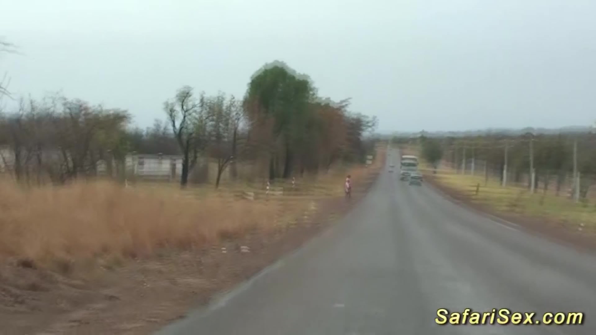 wild african jeep sex safari