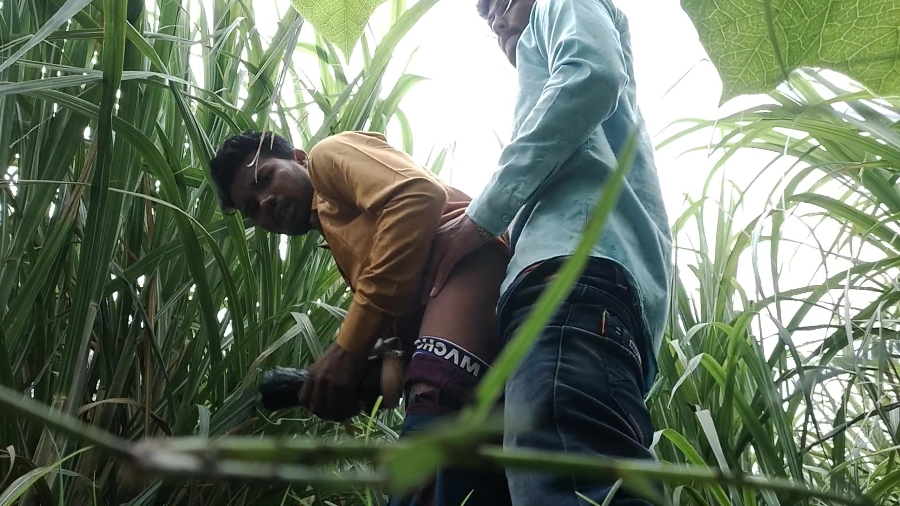 Sugar Cane - Masterji Gifted A Unique Toy To The School students 18+ And The Boy Masterji Had Fun In The Field