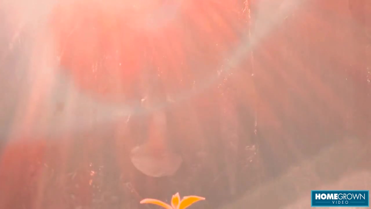Scarlett Taylor And Stephan Rogers Cant Help Fucking Outdoors