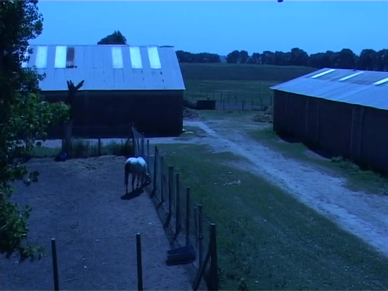 Up the ass in a military camp - Latin-Hot