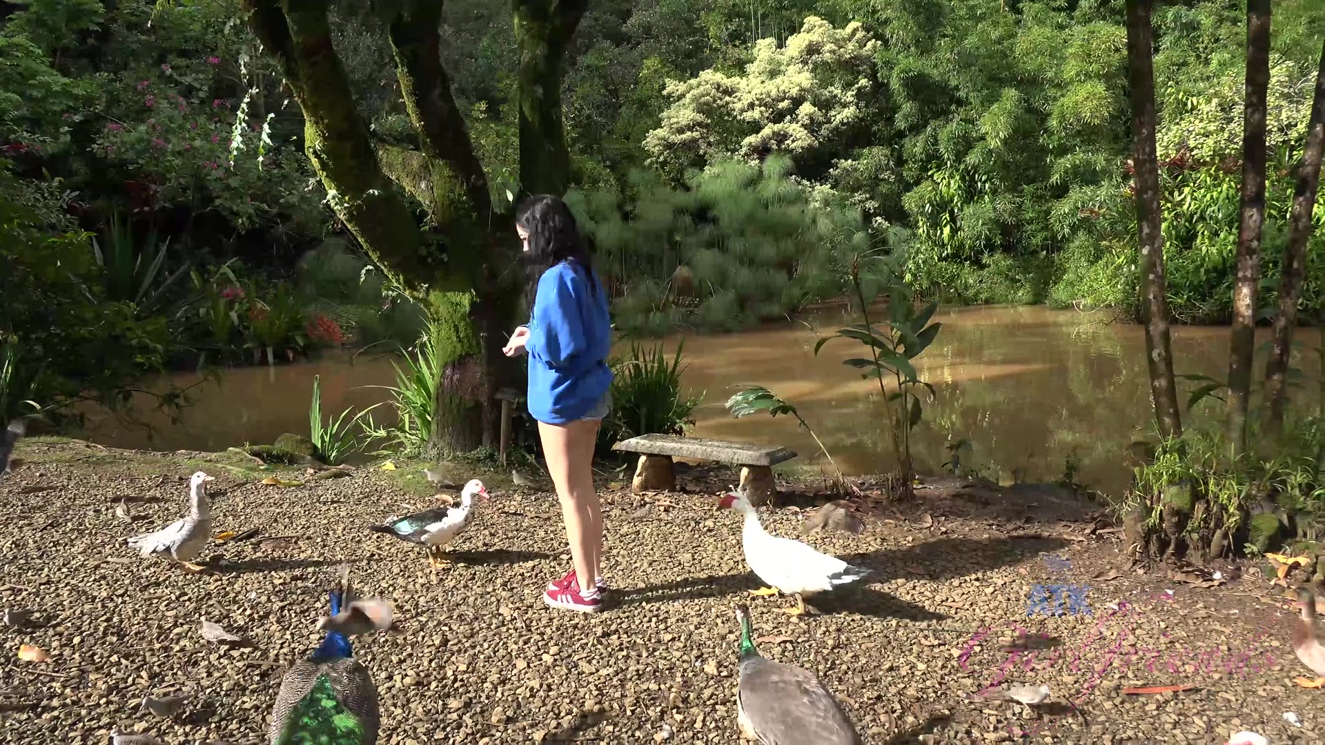 Virtual Vacation In Hawaii With Karly Baker Part 5