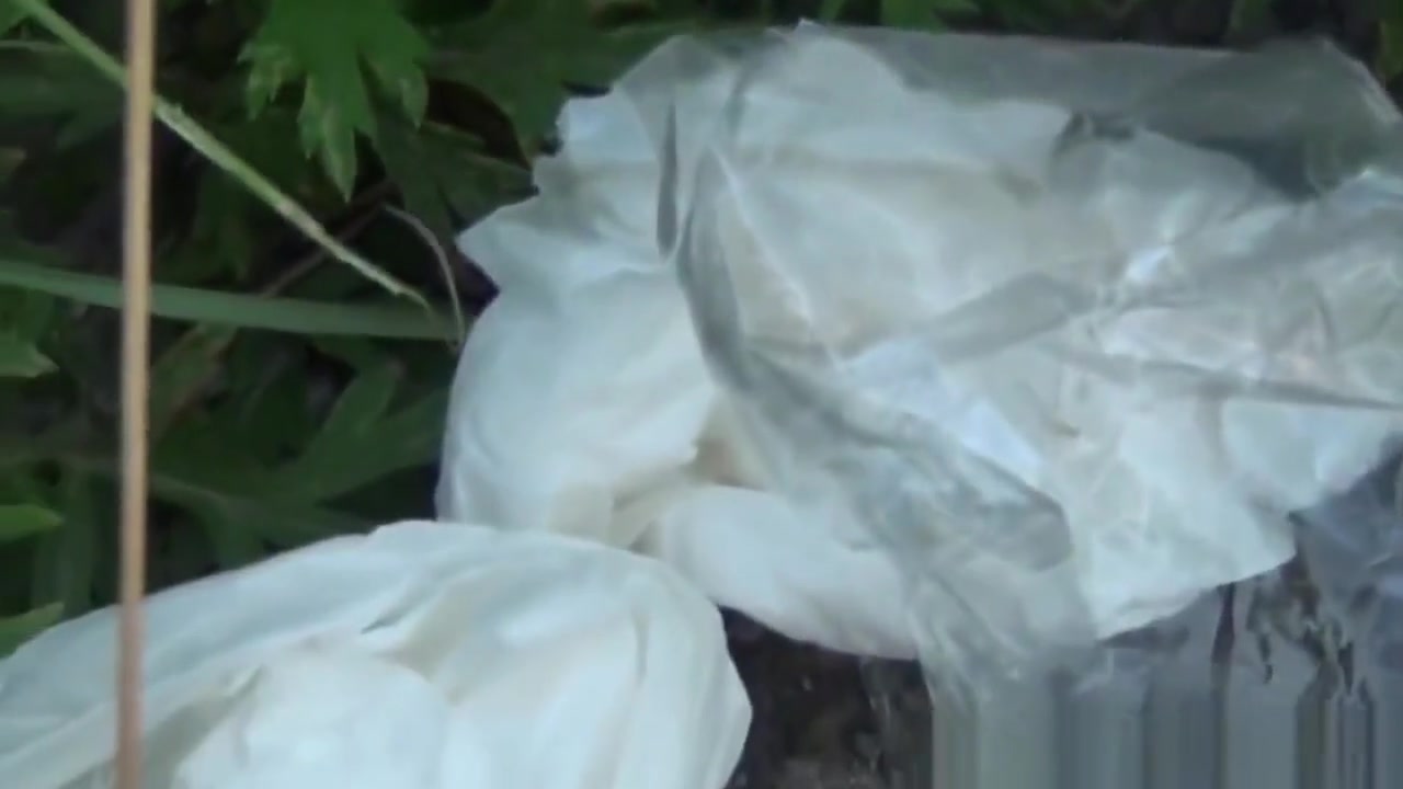Bad Japan teenagers 18+ Pee
