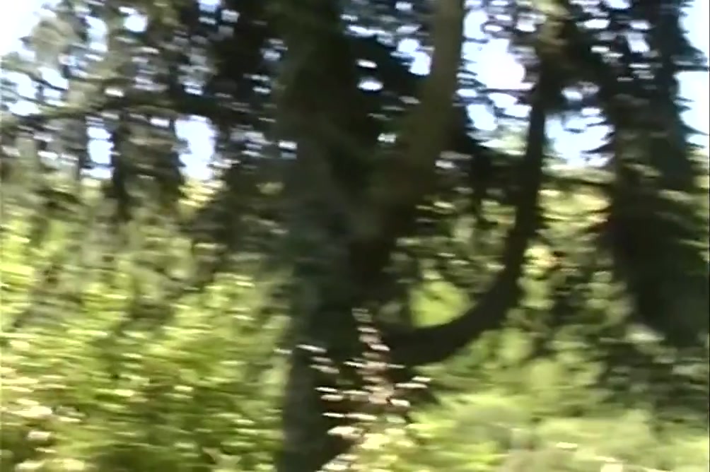 Rodolfo Babilonia Best Of Vol.2 - Episode 4