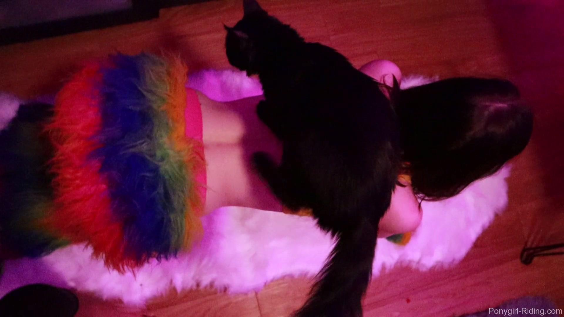 My Little Ponygirl 2 - Sex Movies Featuring Edward Black