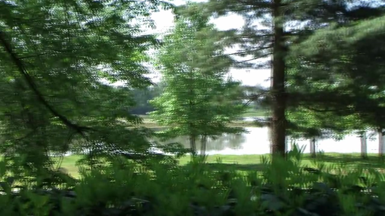 Video from Meta-Art: Iveta B - Elatis - by Helios