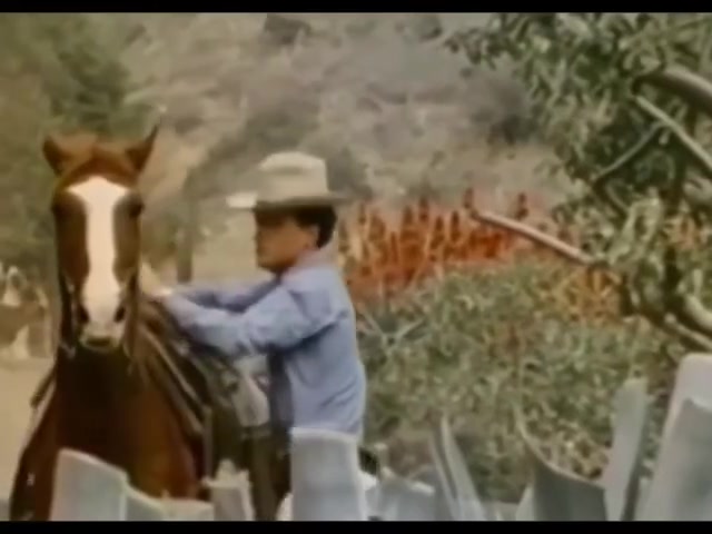 Magnificent Cowboys 1971