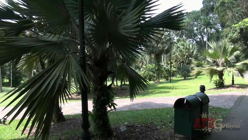 ATKGirlfriends video: virtual vacation with Hope Howell in Singapore