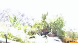 Back in the days blowjob pollside