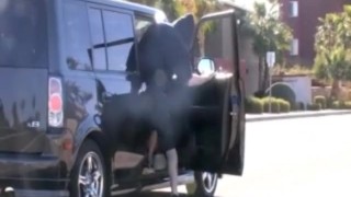 Twinks Romp Hard in the Bed