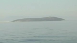 Threesome Sex Outdoors