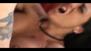 COUGARS STRIKE 5 - Scene 3