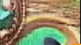 Transgender Bender - Scene 2