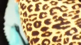 Dolls Packing Balls - Scene 4