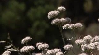 Witch Coven College - Scene 8