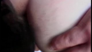 Young Tender Trannies 12 - Scene 1