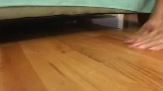 Puma Swede - Creampie Cuties