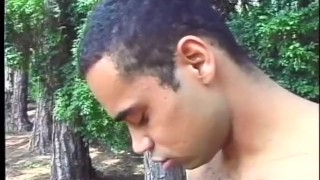 Young Tender Trannies 24 - Scene 2