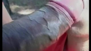 Never Ending She Males 1 - Scene 28