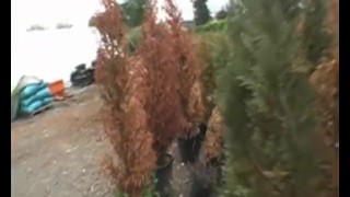 Guy Find Hot Slut To Fuck For Cash