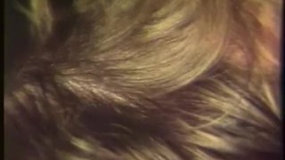 An Evening At The Adonis - Scene 6