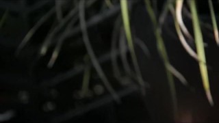 GayRoom boy gets pounded my muscle jock