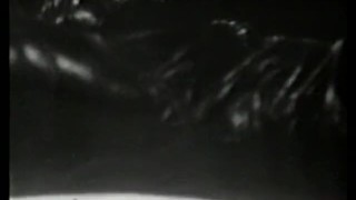 Classic Stags 160 40's to 60's - Scene 4