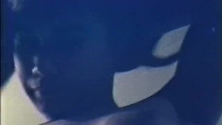 Softcore Nudes 530 1960s - Scene 2