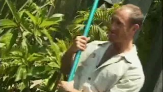 Muscled Cock Sucking Men By The Pool