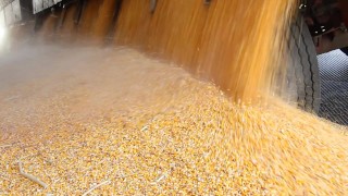 Hot massive shooting load