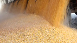 Hot massive shooting load