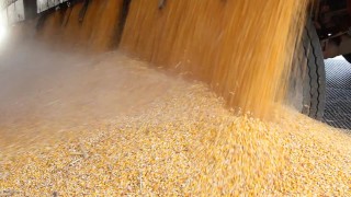 Hot massive shooting load