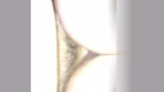 Girlfriend riding cock