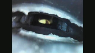 Internal view of 3 Bad Dragon Penetrables
