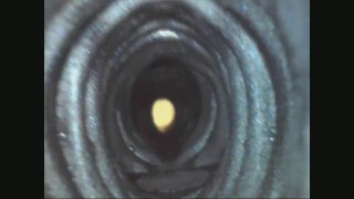 Internal view of 3 Bad Dragon Penetrables