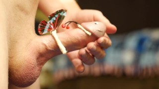 Beautiful Butterfly