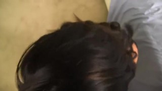 sepxpov3