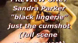 PREVIEW: Sandra Parker (black lingerie) blasted