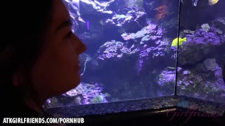 You had such an amazing time in Hawaii fucking her sweet ass