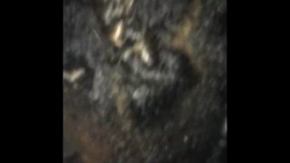 Sinfulwet Sucking Dick Slow