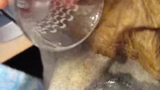 CLOSEUP&SLOWMOTION SC 9: Savannah's Shot Glass