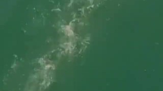 Muscled gay hunks wild threesome fuck out at the sea