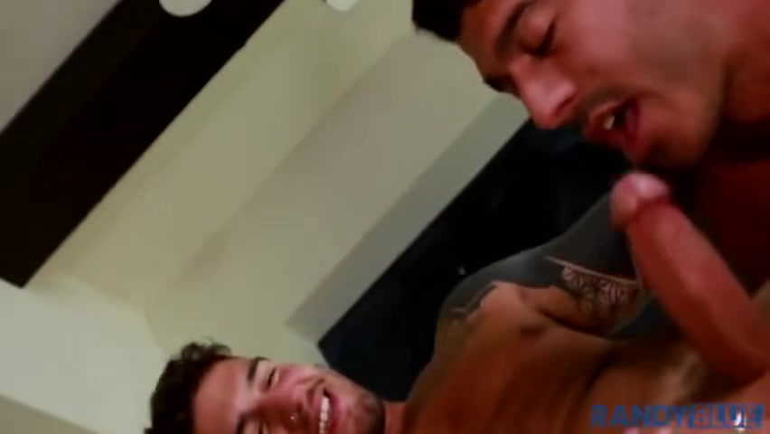 Exotic Adult Homosexual Gay Greatest , Check It