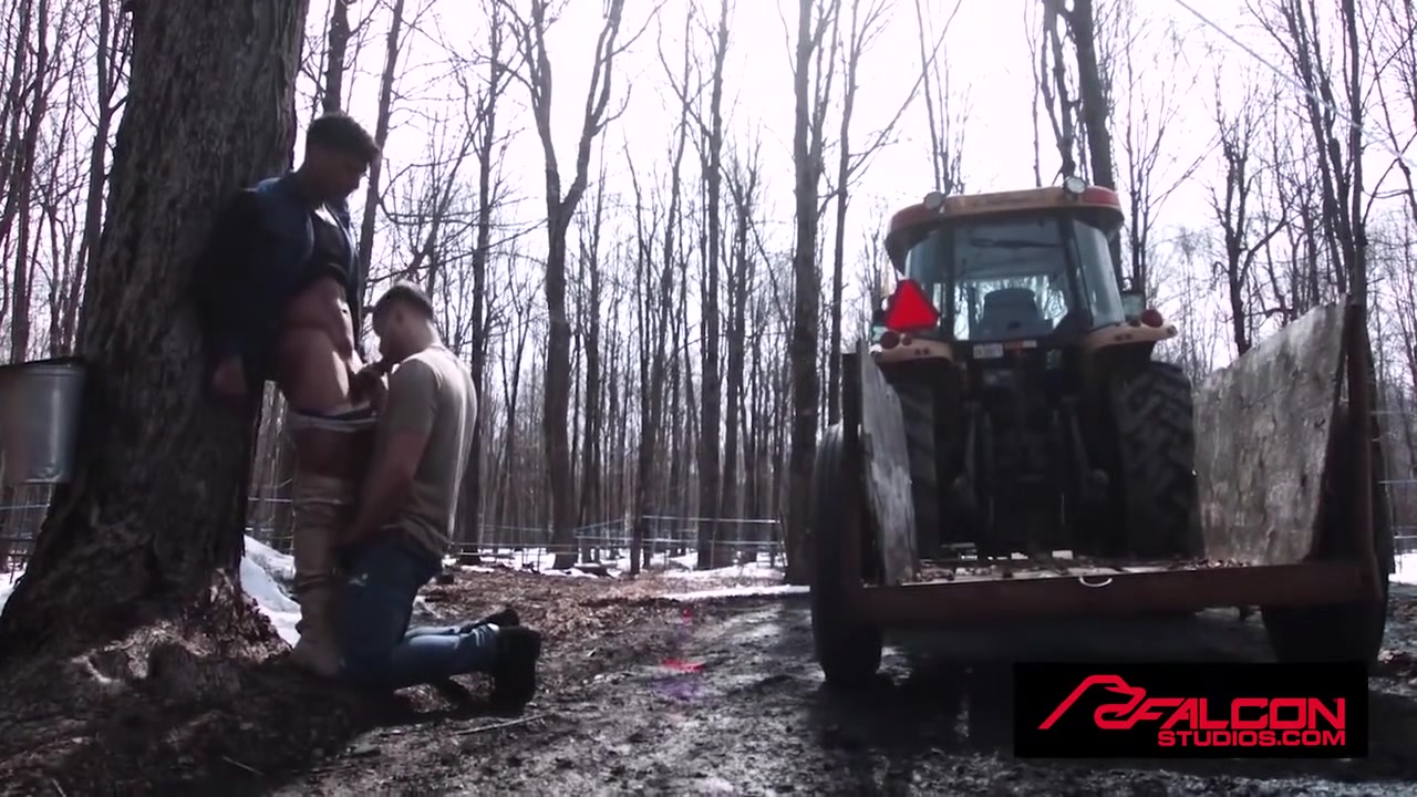 Top 5 Tastiest Sugar Shack Videos