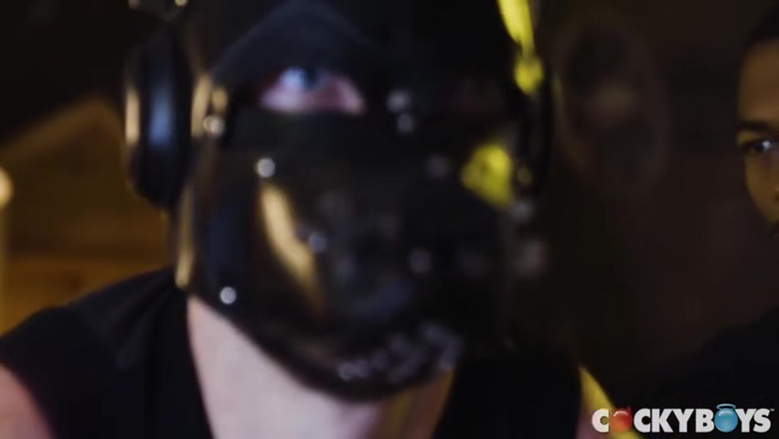 And Are A Perfect Fucking Pair With And With Sean Xavier And Daniel Evans
