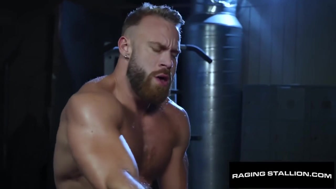 Versatile Beekcakes Pound Each Other Out - Tryp Bates Brogan