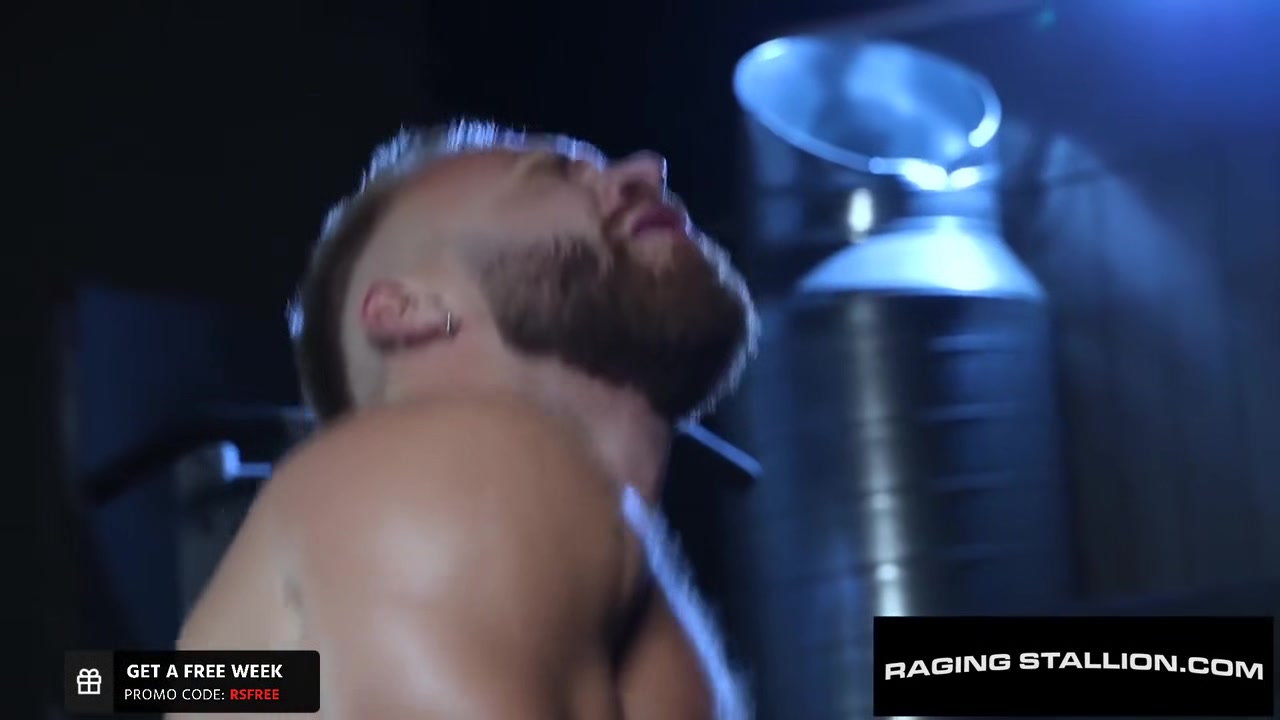 Versatile Beekcakes Pound Each Other Out - Tryp Bates Brogan